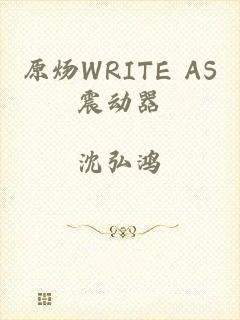 原炀WRITE AS震动器